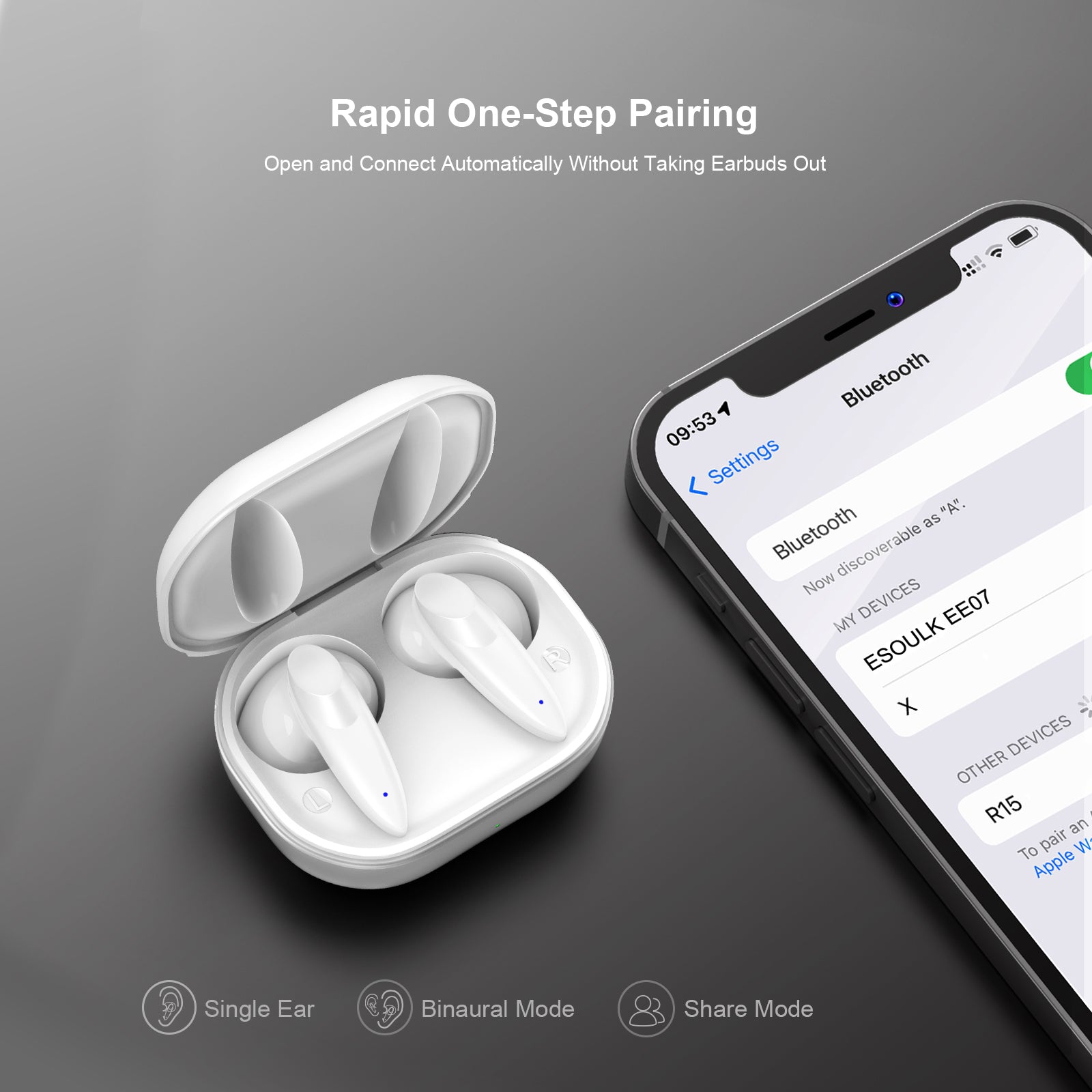 True Wireless Earbuds