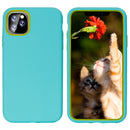 Mint iPhone 11 Dual Max Case